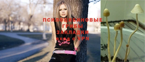 синтетический гашиш Богородск