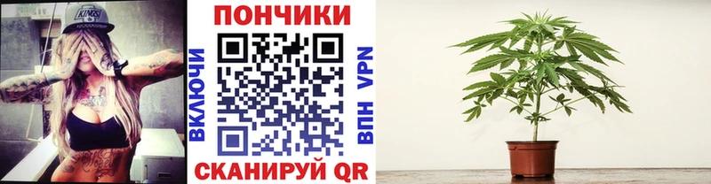 где можно купить наркотик  Торопец  blacksprut ССЫЛКА  Бошки марихуана тримм 